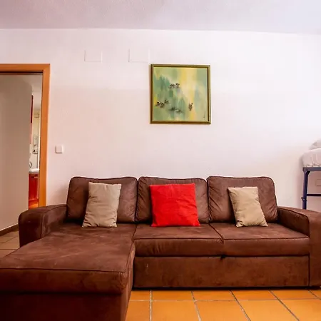 Arttyfal 509 * Sierra Nevada